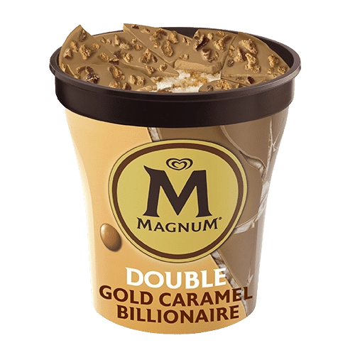 Magnum Pint Double Gold Caramel Billionaire 440ml